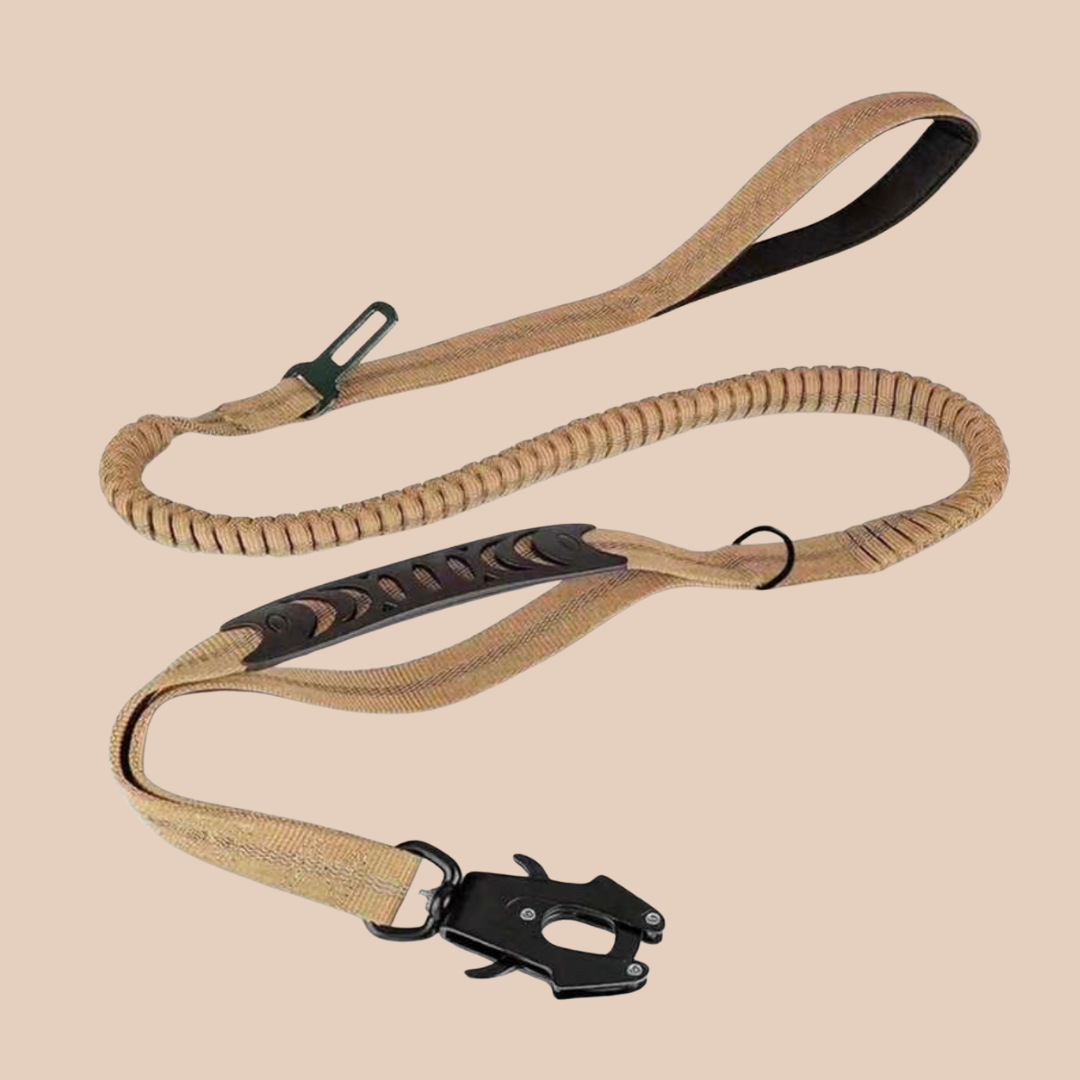 Archie's Bungee Dog Lead