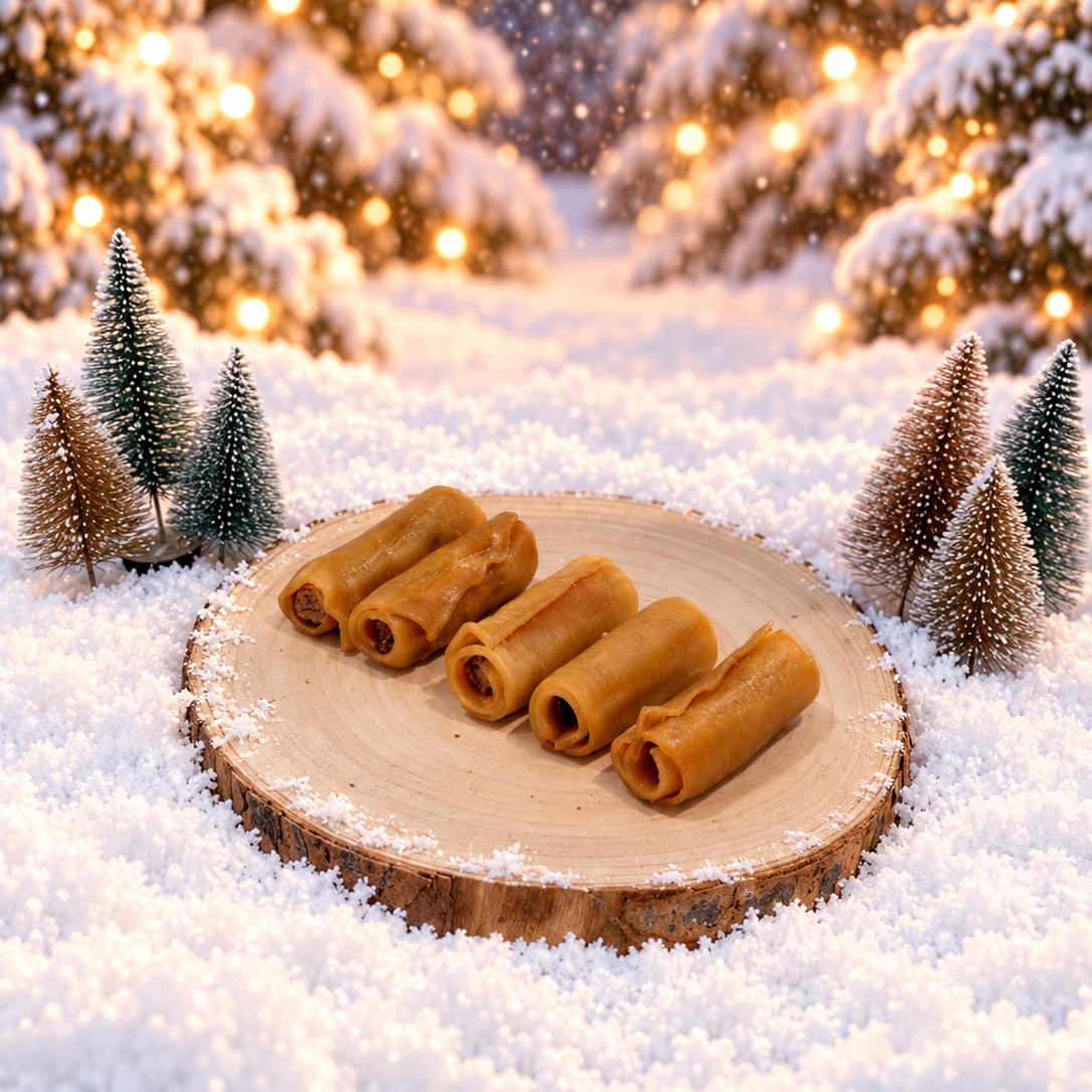 Mini pig in blanket. Dog treat for christmas
