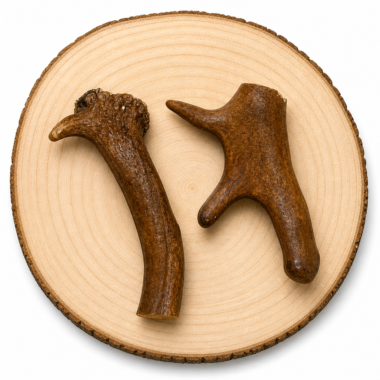 Extra Large deer antler dog stimulation chew on a wooden log, very long lasting.