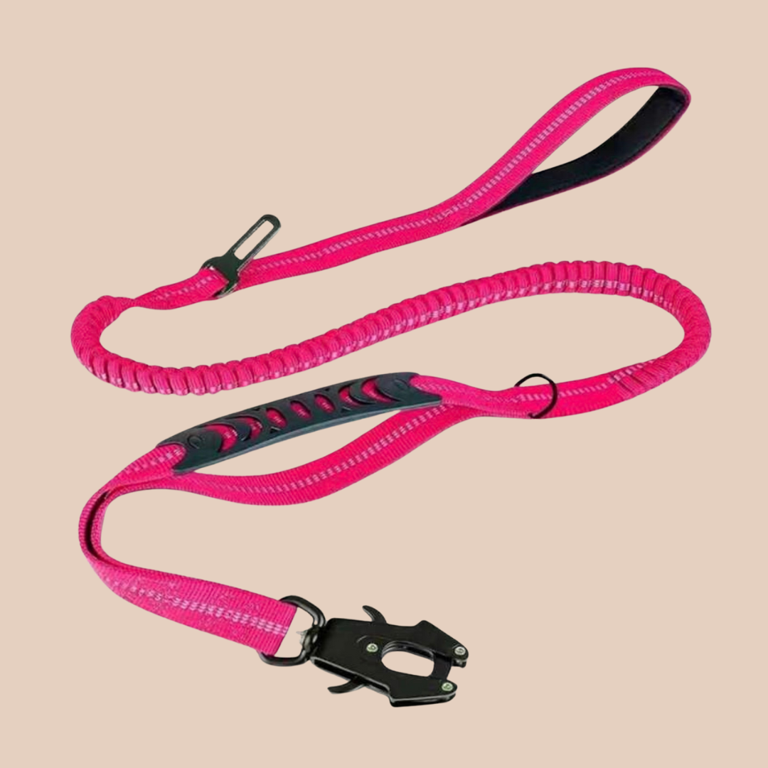 Archie's Bungee Dog Lead