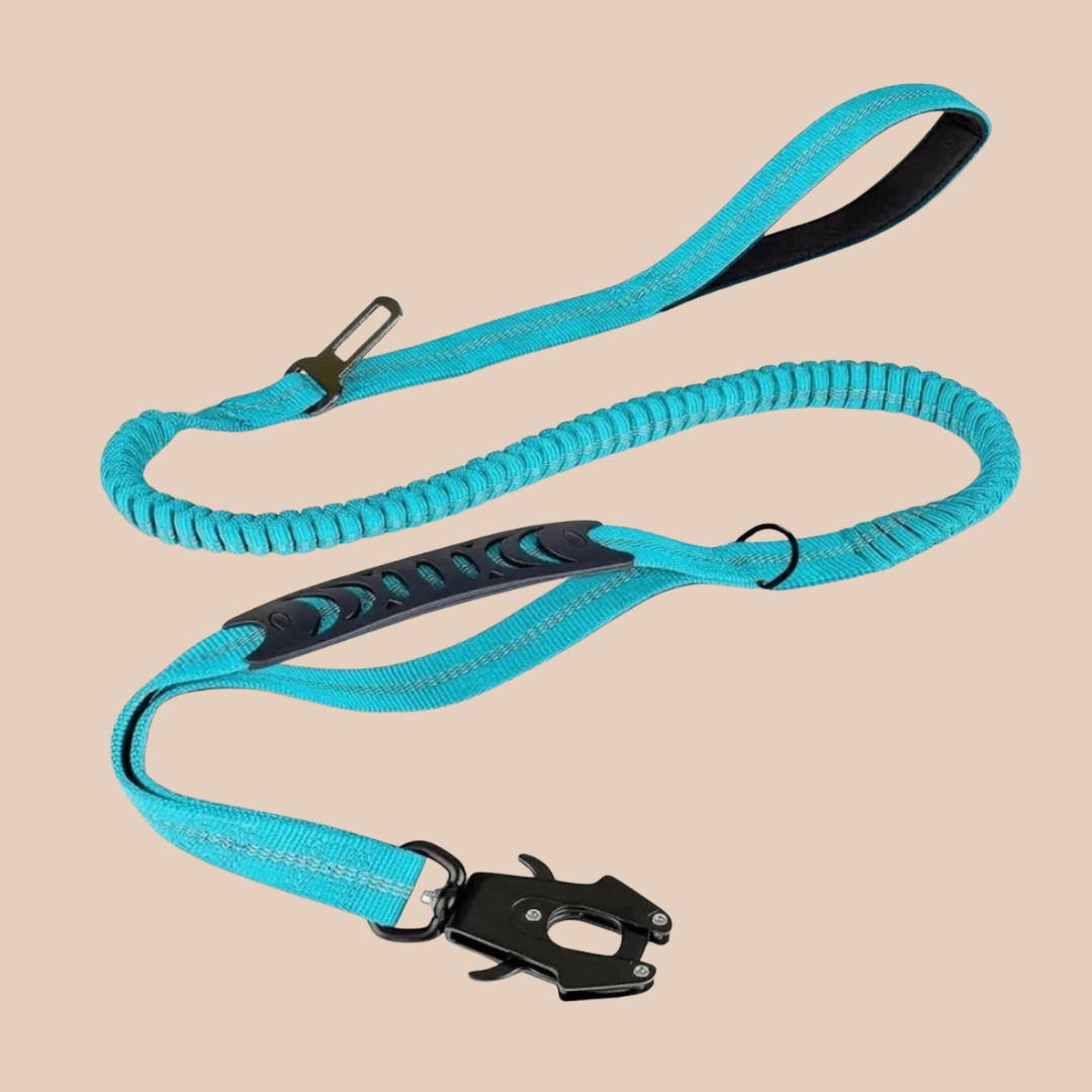 Archie's Bungee Dog Lead