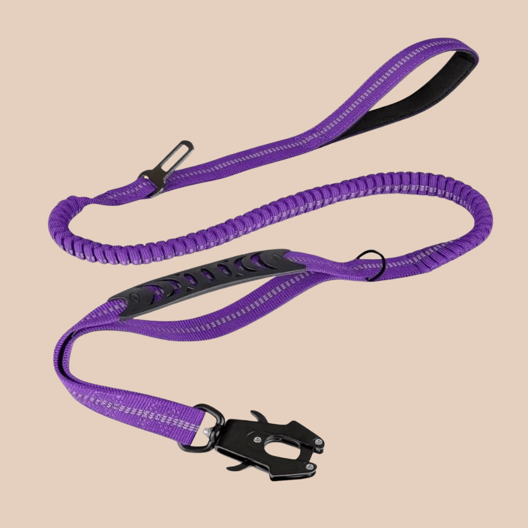 Archie's Bungee Dog Lead