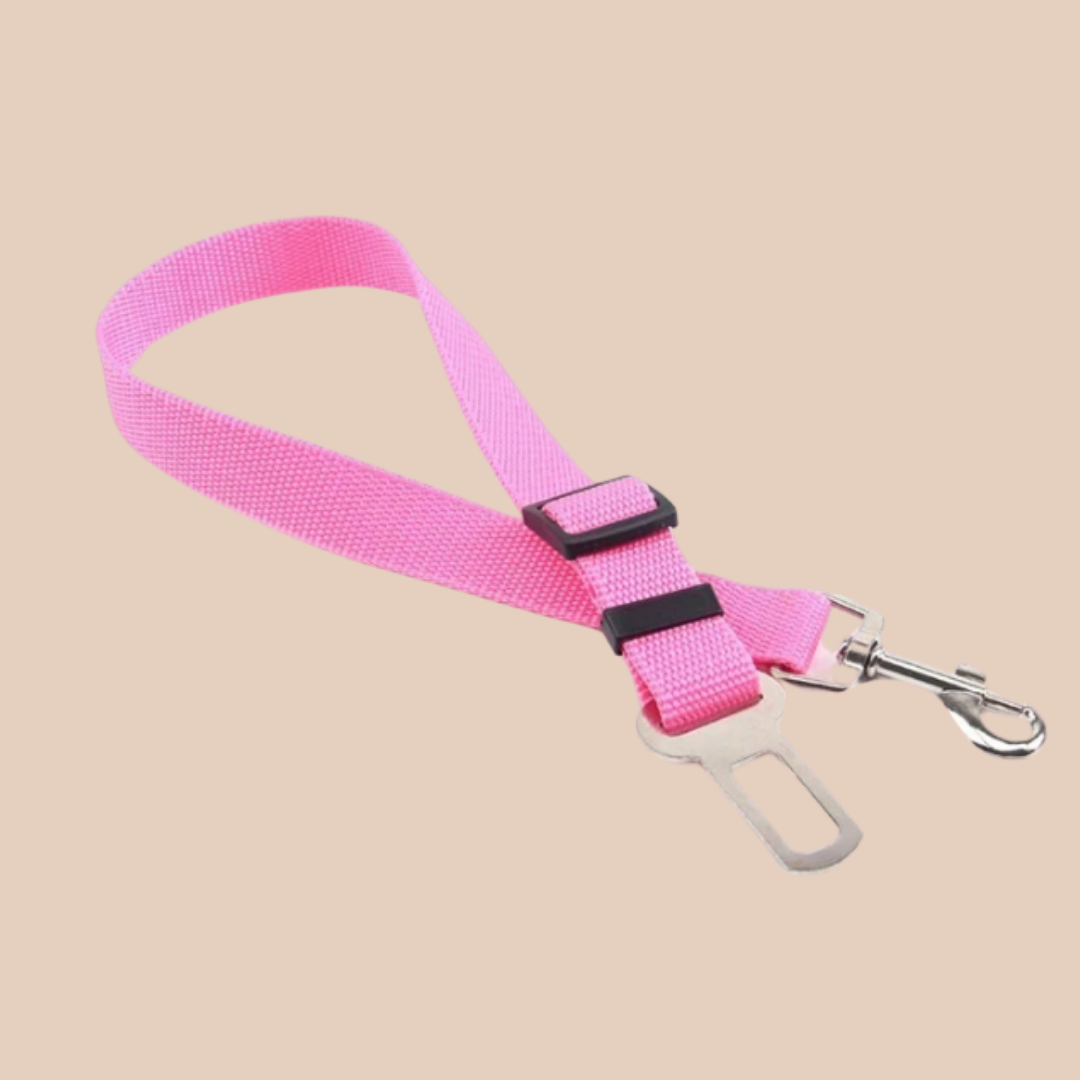 Dog Seatbelt