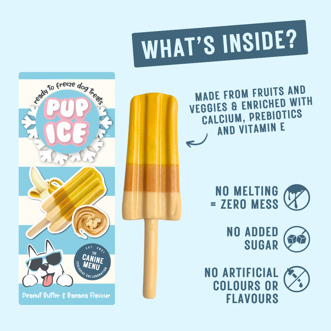 Pup Ice Lollies - The Canine Menu