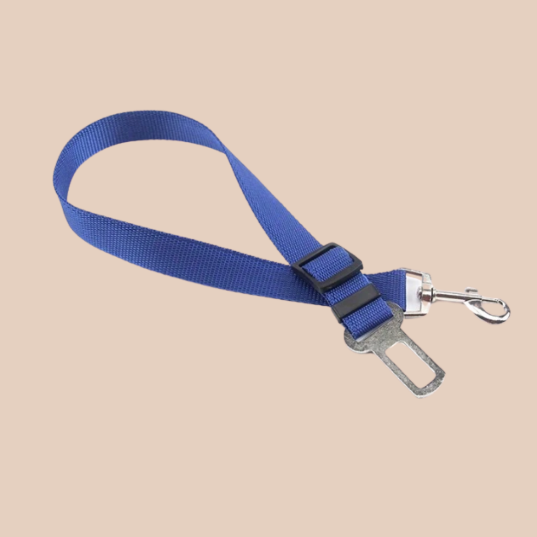 Dog Seatbelt