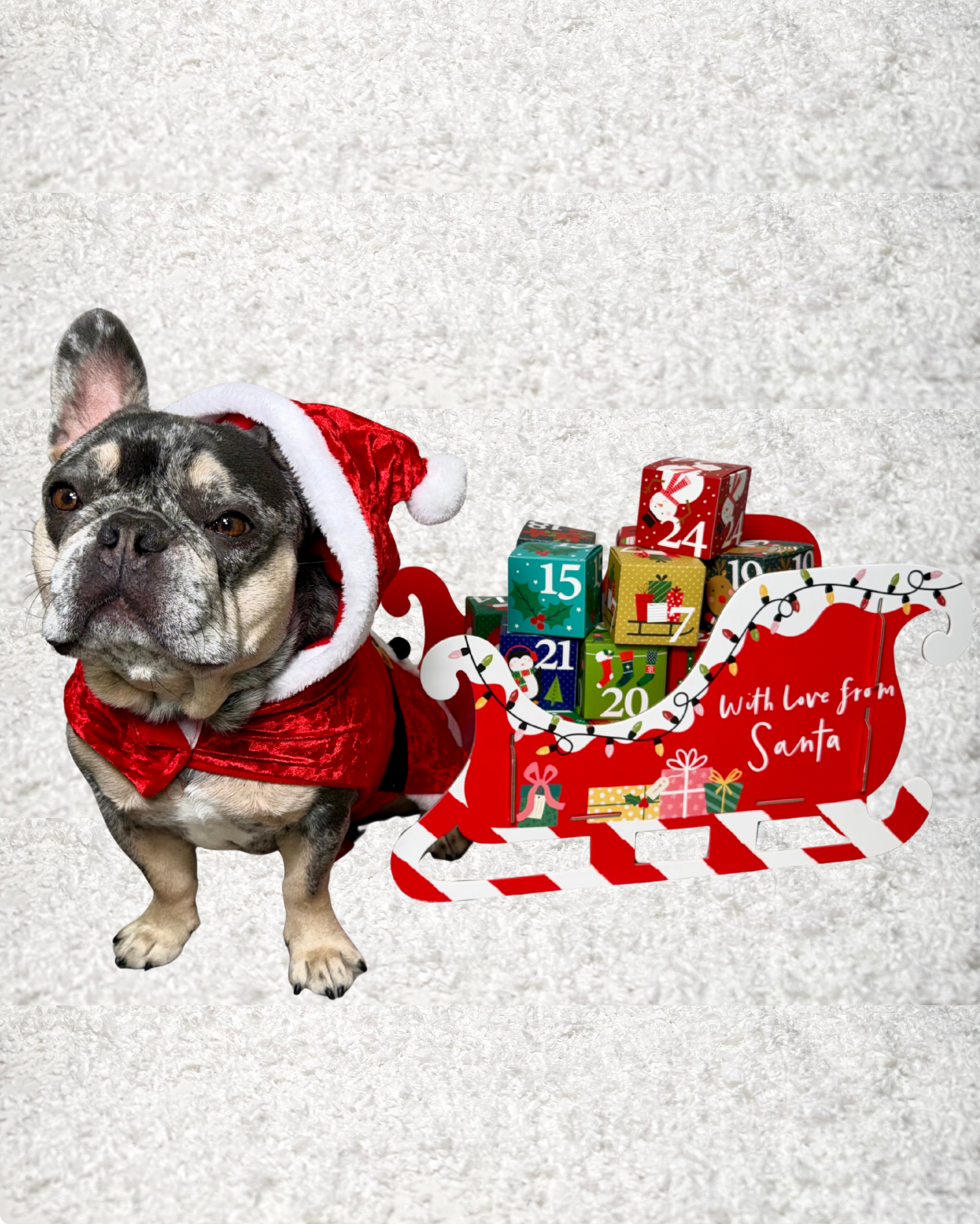 ARCHIE'S ADVENT CALENDER