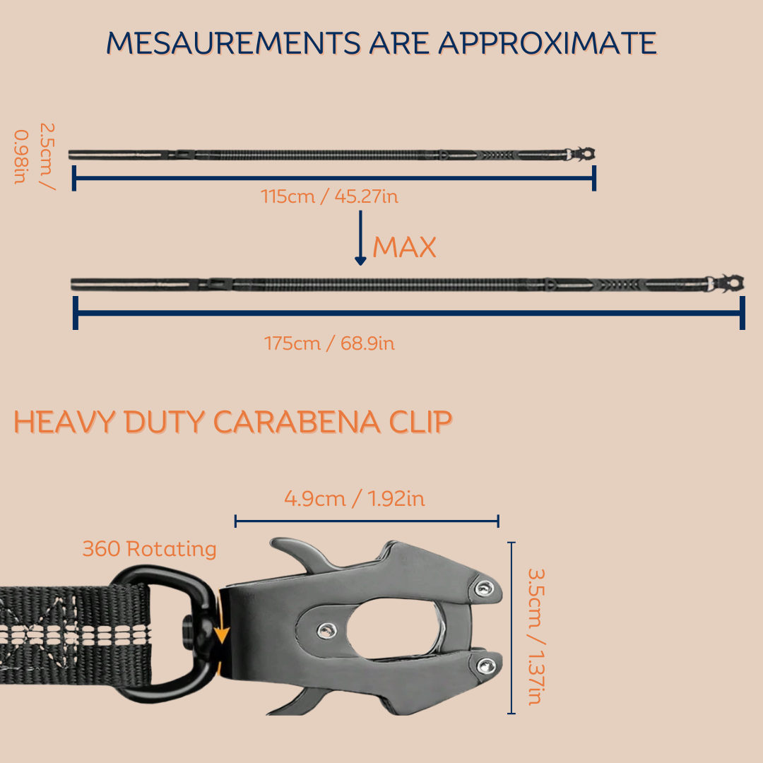 Archie's Bungee Dog Lead