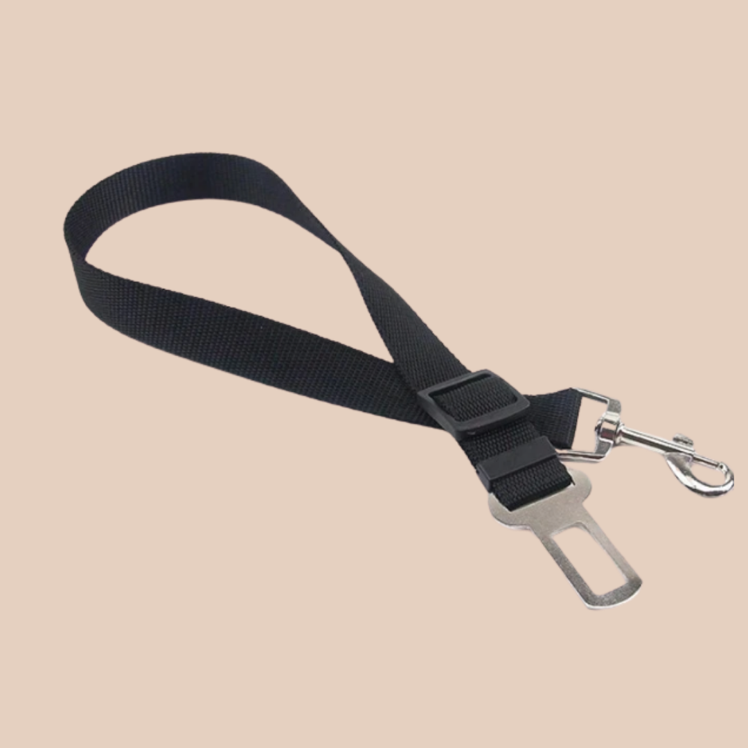 Dog Seatbelt