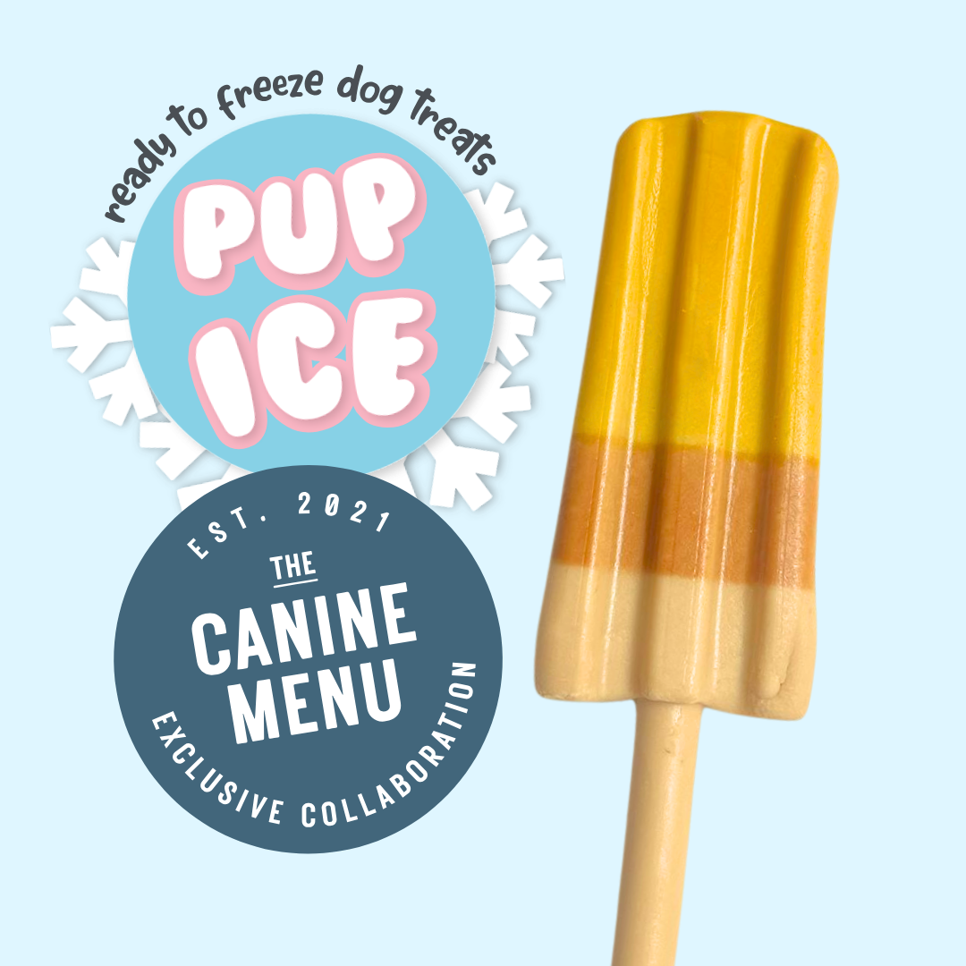 Pup Ice Lollies - The Canine Menu