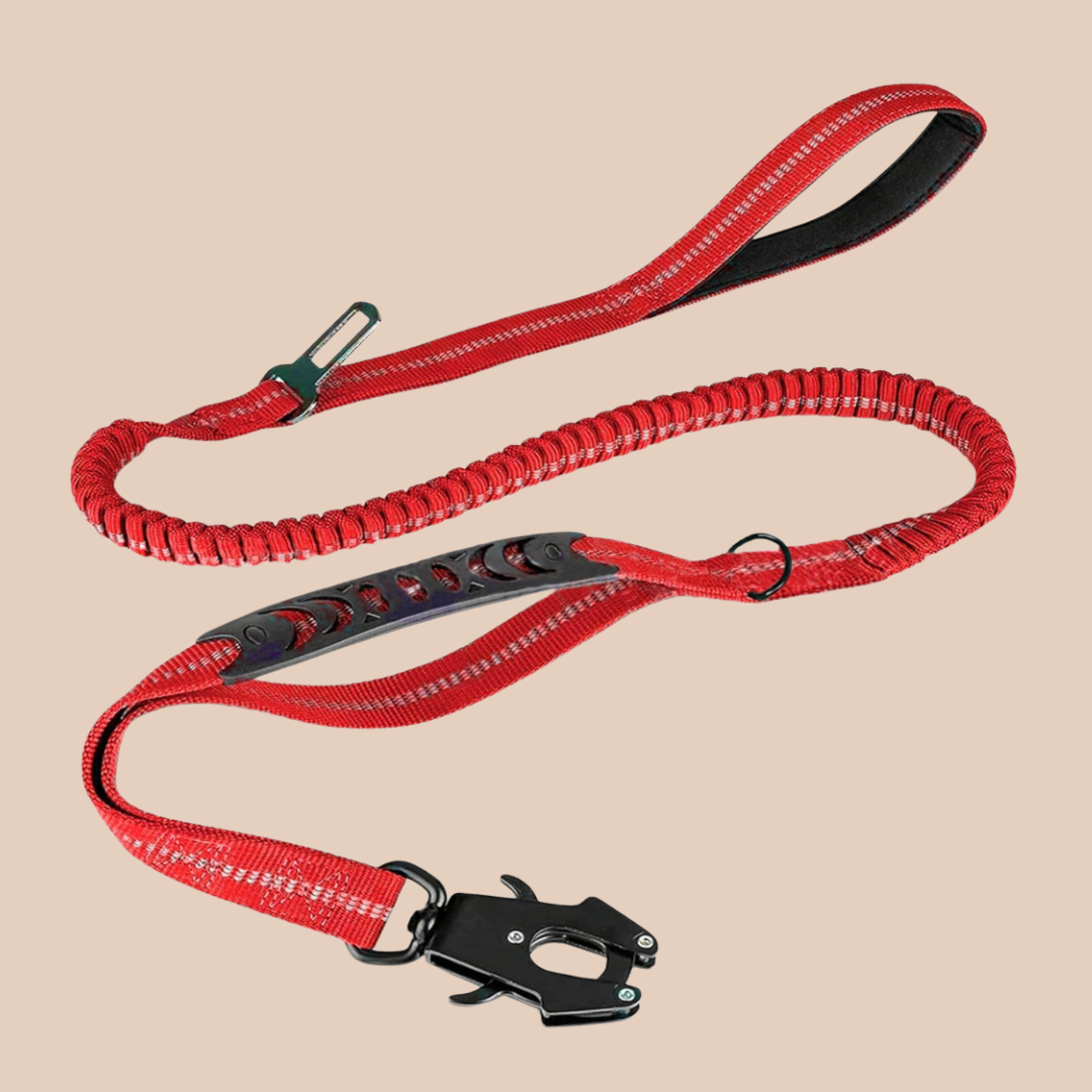 Archie's Bungee Dog Lead