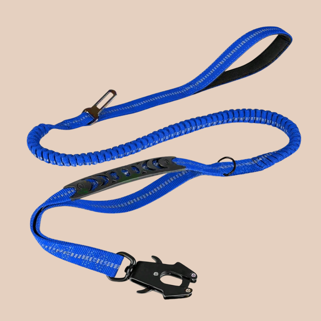 Archie's Bungee Dog Lead