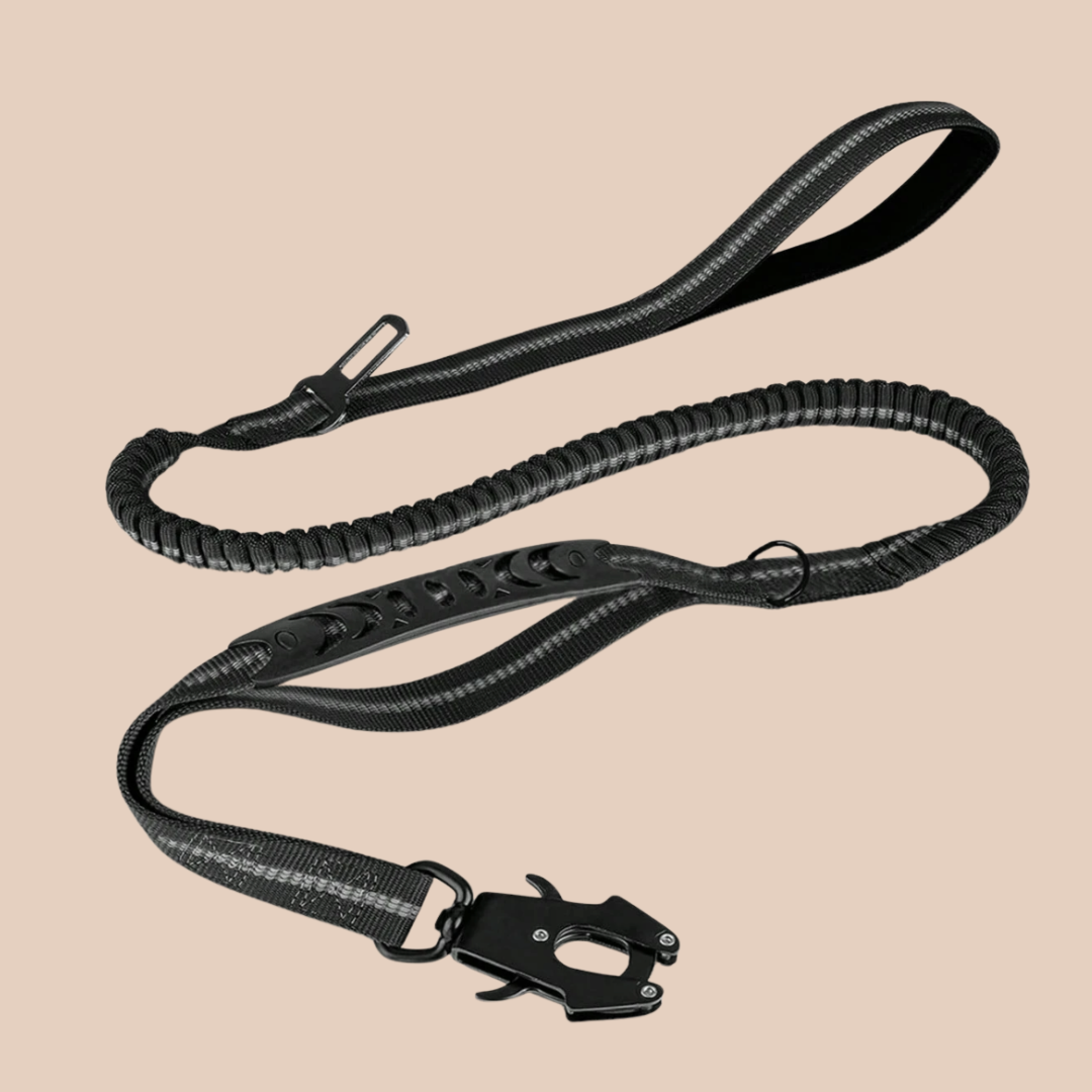 Archie's Bungee Dog Lead