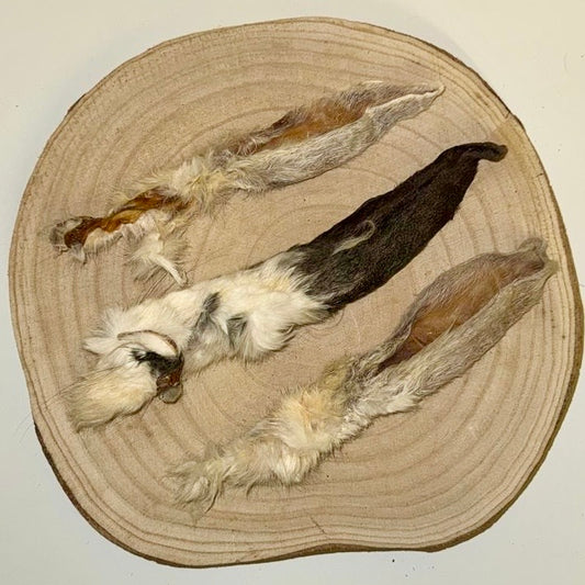 Rabbit Ears With Hair