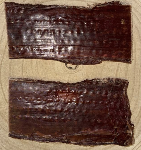 Buffalo Flatties (Gullet)