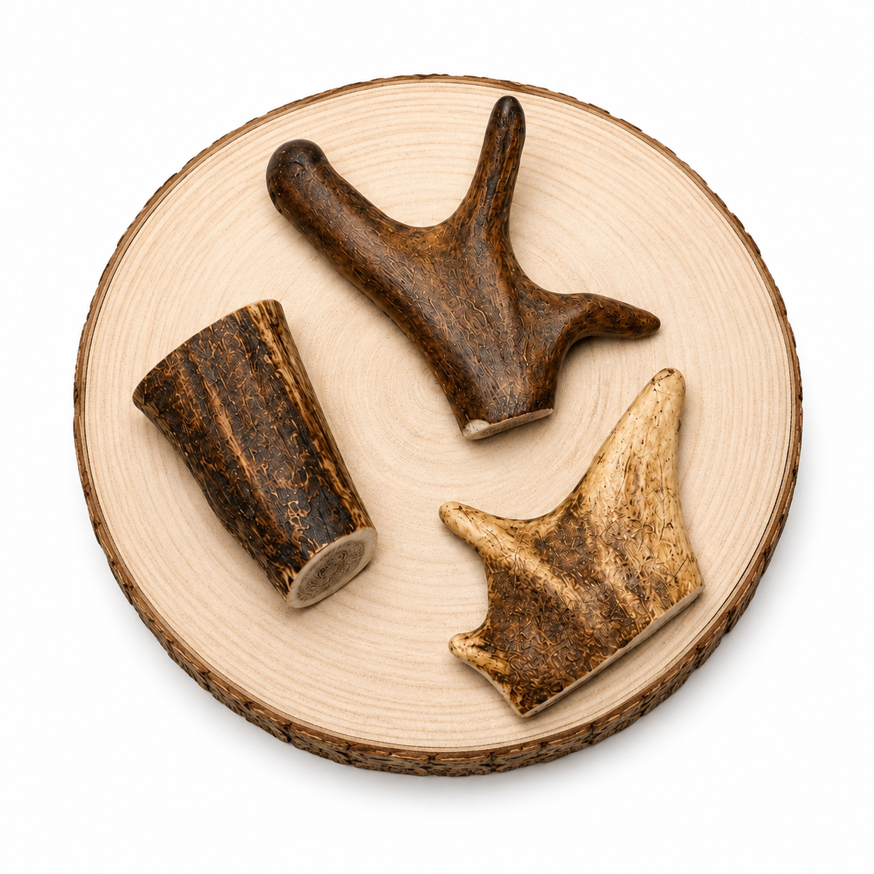 Medium deer antler dog stimulation chew on a wooden log, very long lasting.