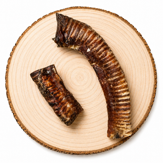 Picture of beef trachea dog chew on a  wooden log, showcasing its ridged texture and organic appearance. Ideal for pet owners searching for long lasting dog treat.