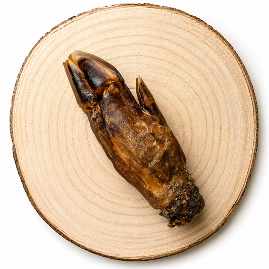 Single dried boar trotter dog chew placed diagonally on a natural wooden slice, photographed from above with clean, even lighting on a neutral background.