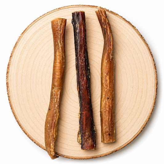 Natural bull pizzle dog chew sticks displayed on a wooden slice long lasting, high protein dog treats that support dental health and satisfy strong chewing instincts.