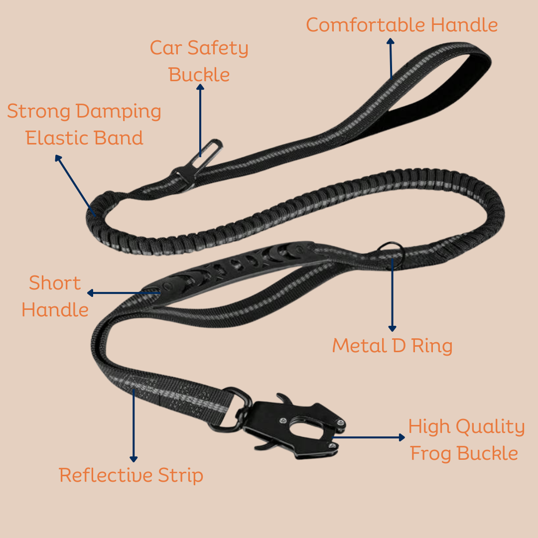 Archie's Bungee Dog Lead