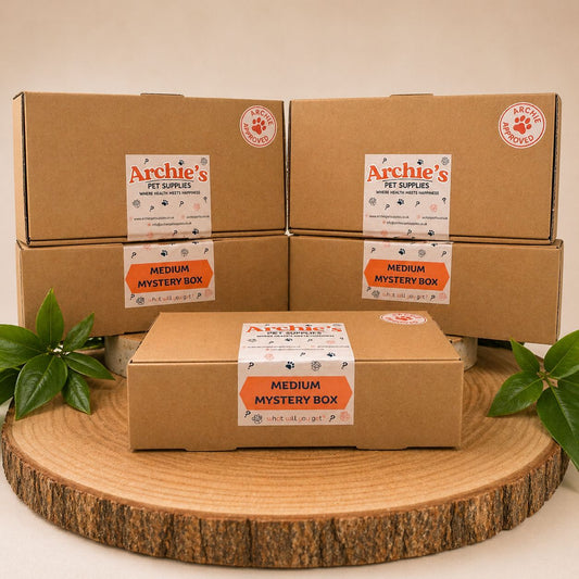 Medium mystery box for dogs with assorted natural treats and chews, surprise dog treat box