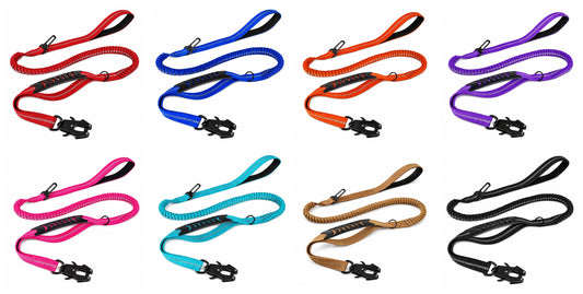 Archie's Bungee Dog Lead