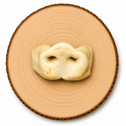Puffed pig snout dog treat on rustic wooden log, natural air-dried pork chew for dogs, high-protein long-lasting dog treat, grain free single ingredient chew for dental health and enrichment
